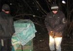 Очередная «живая» контрабанда. Украинцы пытались переправить в РФ утят и телят
