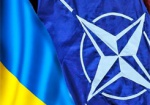 Яценюк: Украина подпишет с НАТО соглашение о военно-техническом сотрудничестве
