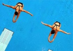 Харьковчане завоевали «бронзу» в синхронных прыжках в воду