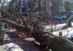 Харьковские коммунальщики убрали деревья, поваленные ветром вчера