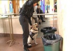 Служебная собака помогла найти наркотики на харьковском вокзале