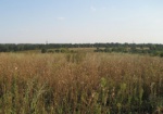 На Харьковщине более полусотни участников АТО получили земельные участки