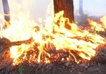 За выходные на Харьковщине 25 раз горела сухая трава, листья и мусор