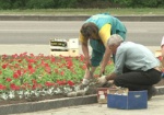 На Мемориале Славы высадят более 40 тысяч цветов