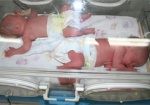 В Харькове за один день родились 4 двойни