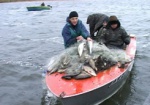 Жителям Харьковщины напоминают об ответственности за незаконный лов рыбы в период нереста