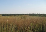 На Харьковщине в госсобственность вернут земли недобросовестных арендаторов