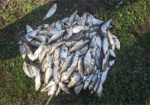 На Харьковщине задержали браконьеров с 16 кг рыбы