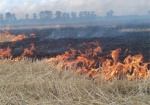 За сутки на Харьковщине 5 раз горела сухая трава