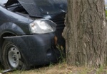 На Харьковщине авто врезалось в дерево: погибла женщина, пострадал годовалый ребенок