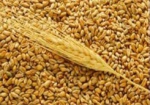 На Харьковщине планируют собрать 3,8 миллиона тонн зерновых