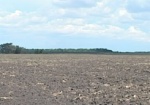 На Харьковщине незаконно сдали в аренду 900 гектаров земли аграрного колледжа