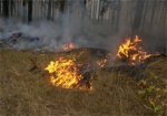 За сутки на Харьковщине тушили 6 лесных пожаров