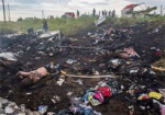 Нидерланды и Украина возобновляют расследование причин катастрофы «Боинга»