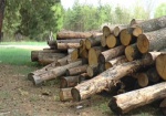 Незаконная вырубка леса в Волчанском районе. Облуправление лесного и охотничьего хозяйства начинает проверку