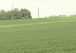 В Нововодолажском районе 70 га земли самовольно засеяли сельхозкультурами