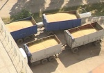 В Минагрополитикии пообещали намолотить около 60 млн. тонн зерна