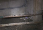 Вода в подвале и плесень на стенах. Жители многоэтажки на Алексеевке не могут добиться ремонта