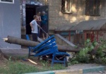 В Харькове во дворе дома упало дерево - в больницу попали женщина с ребенком