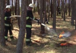 В Украине – чрезвычайный уровень пожароопасности