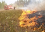 На Харьковщине горело около 700 квадратных метров сухой травы
