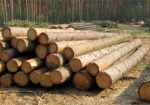 Порошенко запретил экспорт необработанных лесо- и пиломатериалов