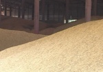 Аграрии Харьковщины уже намолотили более полумиллиона тонн зерна нового урожая