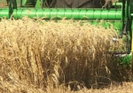 На Харьковщине уже обмолочено 30% озимой пшеницы