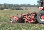 В Украине дорожает сельскохозяйственная продукция