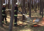 До конца месяца в Украине - чрезвычайный уровень пожароопасности