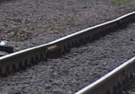 На Харьковщине под колесами поезда погиб пенсионер