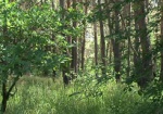 Три гектара земли в лесопарке вернули громаде Харькова