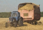 На Харьковщине собрали рекордный урожай озимой пшеницы