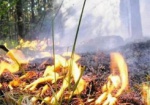 В Украине снова чрезвычайный уровень пожароопасности