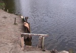 В Северском Донце утонул мужчина