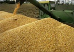 На экспорт ушло 3,76 млн. тонн зерновых