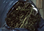 В Харьковской области изъяли более 200 кг конопли