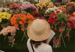 В центре Харькова откроется выставка цветов