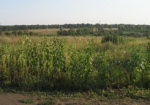 Земельные аукционы: на Харьковщине 100 гектаров выкупили на правах аренды