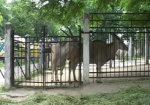 Харьковский зоопарк приглашает на субботник