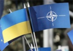 В Минобороны утвердили пять соглашений о стандартизации с НАТО