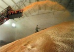 Украина может наладить поставку зерновых в Албанию