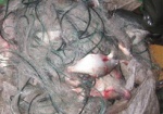 В Харьковской области поймали рыбного браконьера