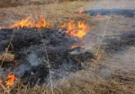 За сутки в области произошло больше 20 пожаров в экосиситемах