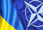 Украина и НАТО разрабатывают новую модель реформирования ВСУ