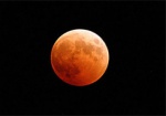 Ночью в мире наблюдали «кровавую» Луну