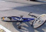 В Чугуевском районе под колесами иномарки погиб велосипедист