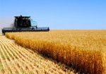 Харьковская область остается лидером по сбору зерна в Украине