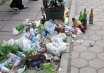 Больше 25 тысяч голосов набрала петиция Президенту про увеличение штрафов за мусор на улицах