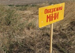 За сутки на Донбассе на минах подорвались 11 украинских военных